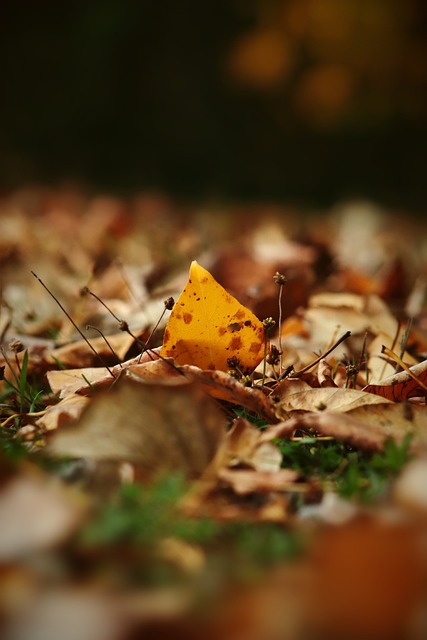 运动的心灵 运动的心灵