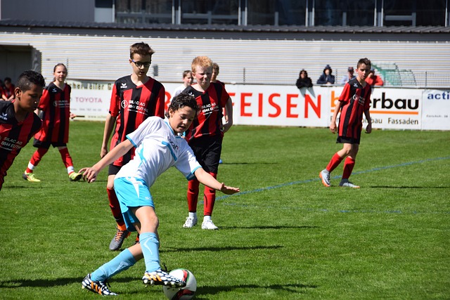 三分火力的 三分火力的