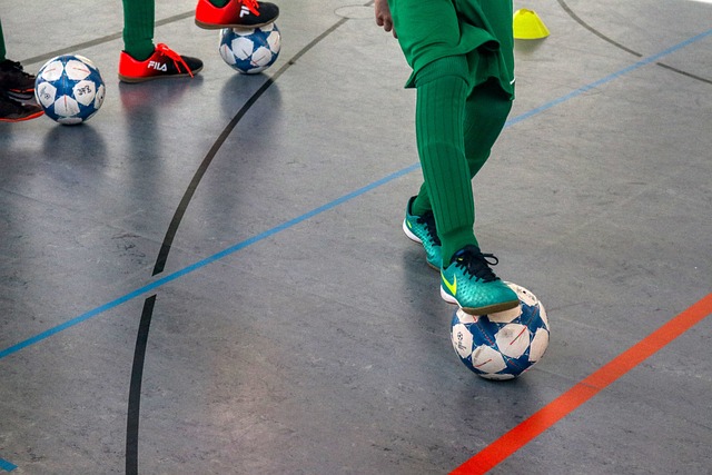 的灵活性 的灵活性