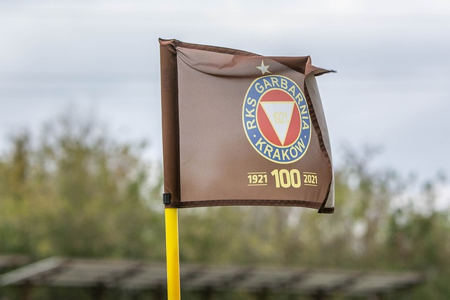 中国军队将 中国军队将